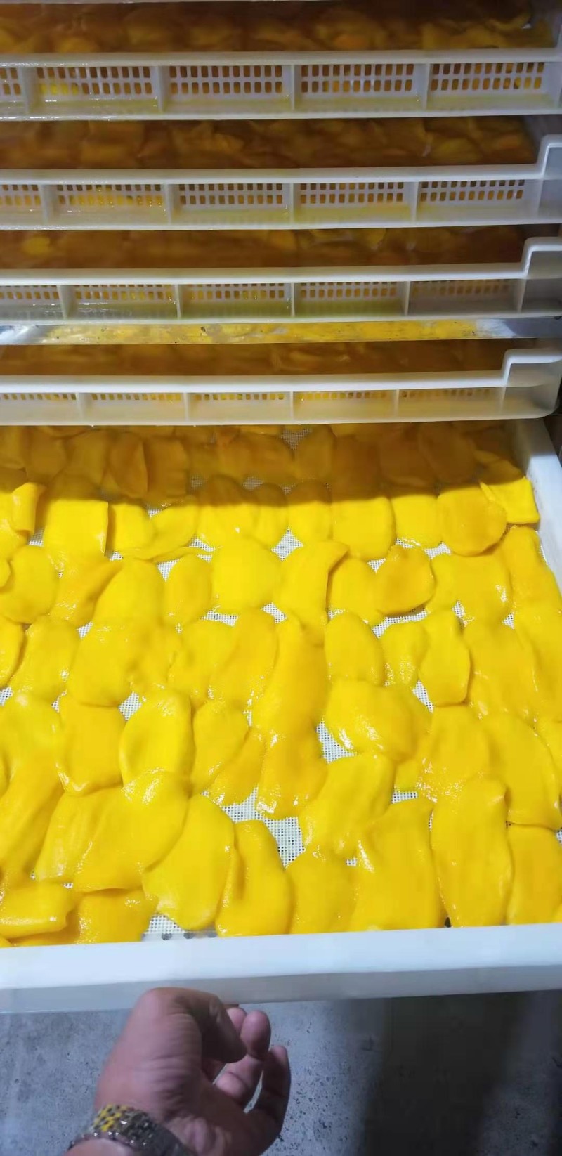 益陽瑪山產(chǎn)業(yè)機械有限公司，湖南益陽螺旋風(fēng)管廠家，熱風(fēng)食品烤房