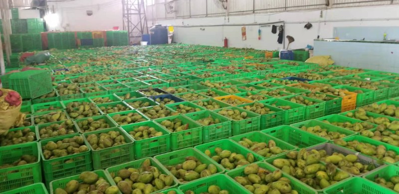 益陽瑪山產(chǎn)業(yè)機械有限公司，湖南益陽螺旋風(fēng)管廠家，熱風(fēng)食品烤房