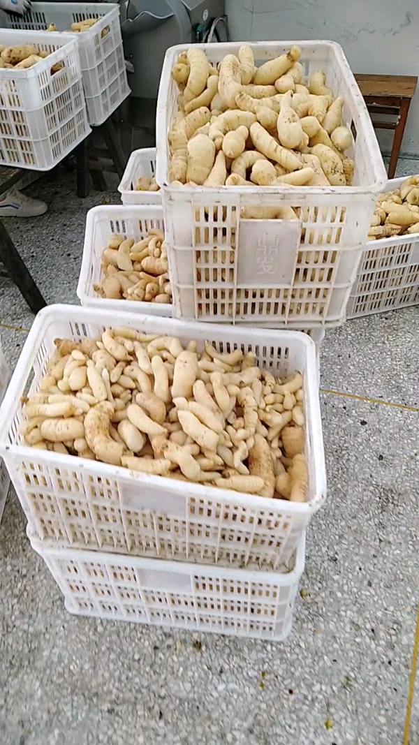 益陽瑪山產(chǎn)業(yè)機(jī)械有限公司，湖南益陽螺旋風(fēng)管廠家，熱風(fēng)食品烤房